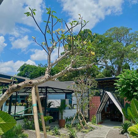 The Jungle Hostel Canggu Kültér fotó