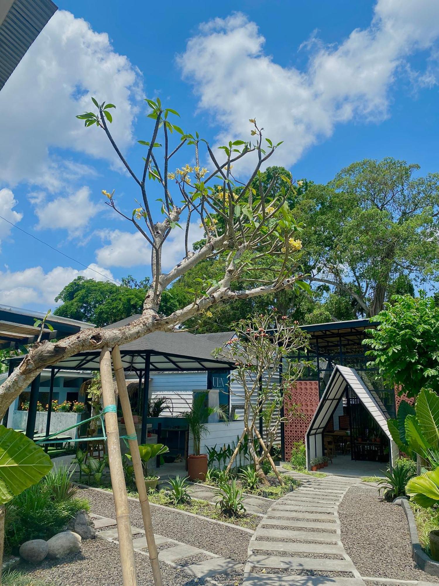 The Jungle Hostel Canggu Kültér fotó