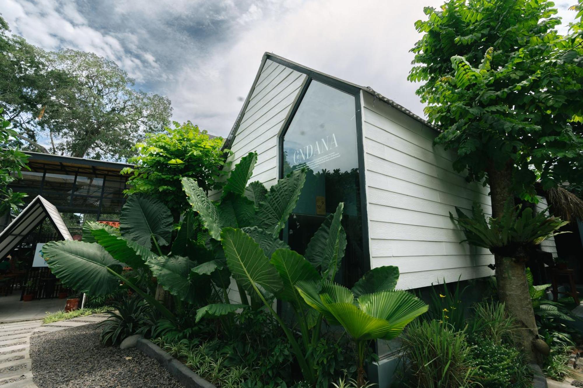 The Jungle Hostel Canggu Kültér fotó