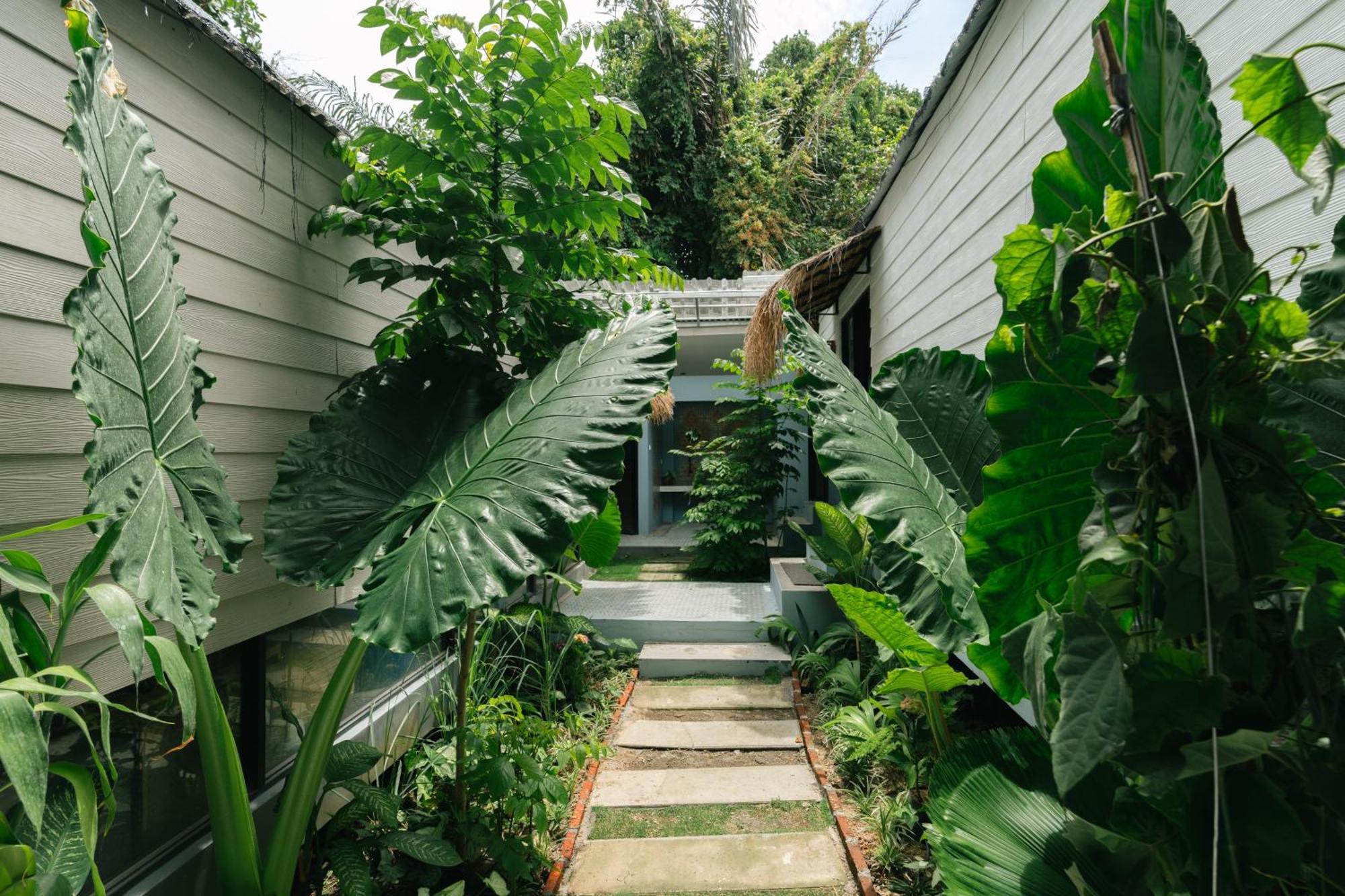 The Jungle Hostel Canggu Kültér fotó