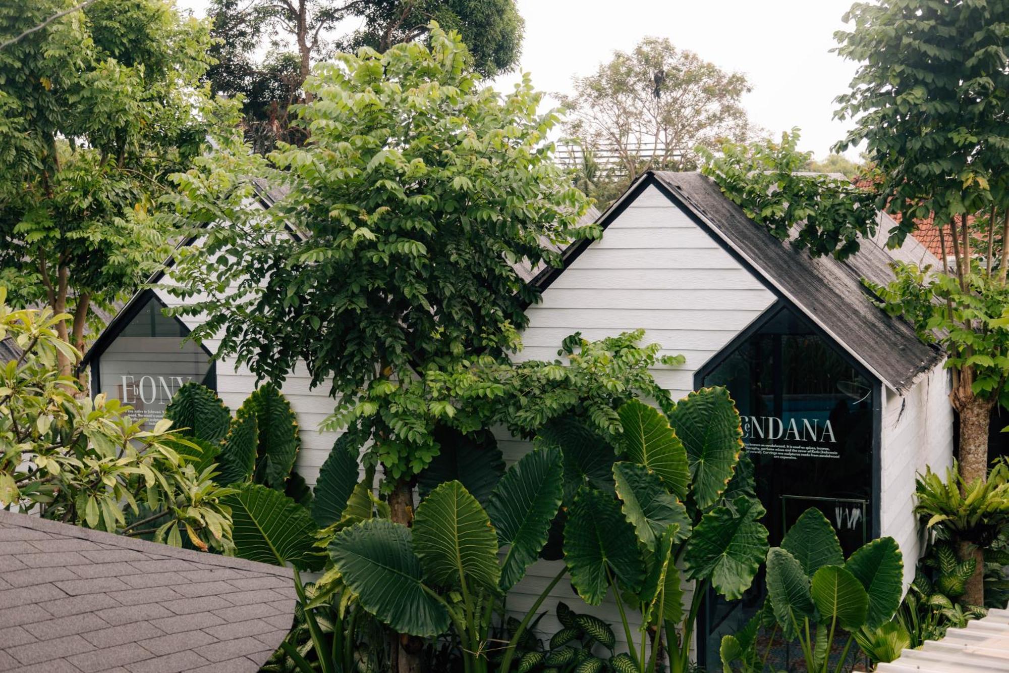 The Jungle Hostel Canggu Kültér fotó