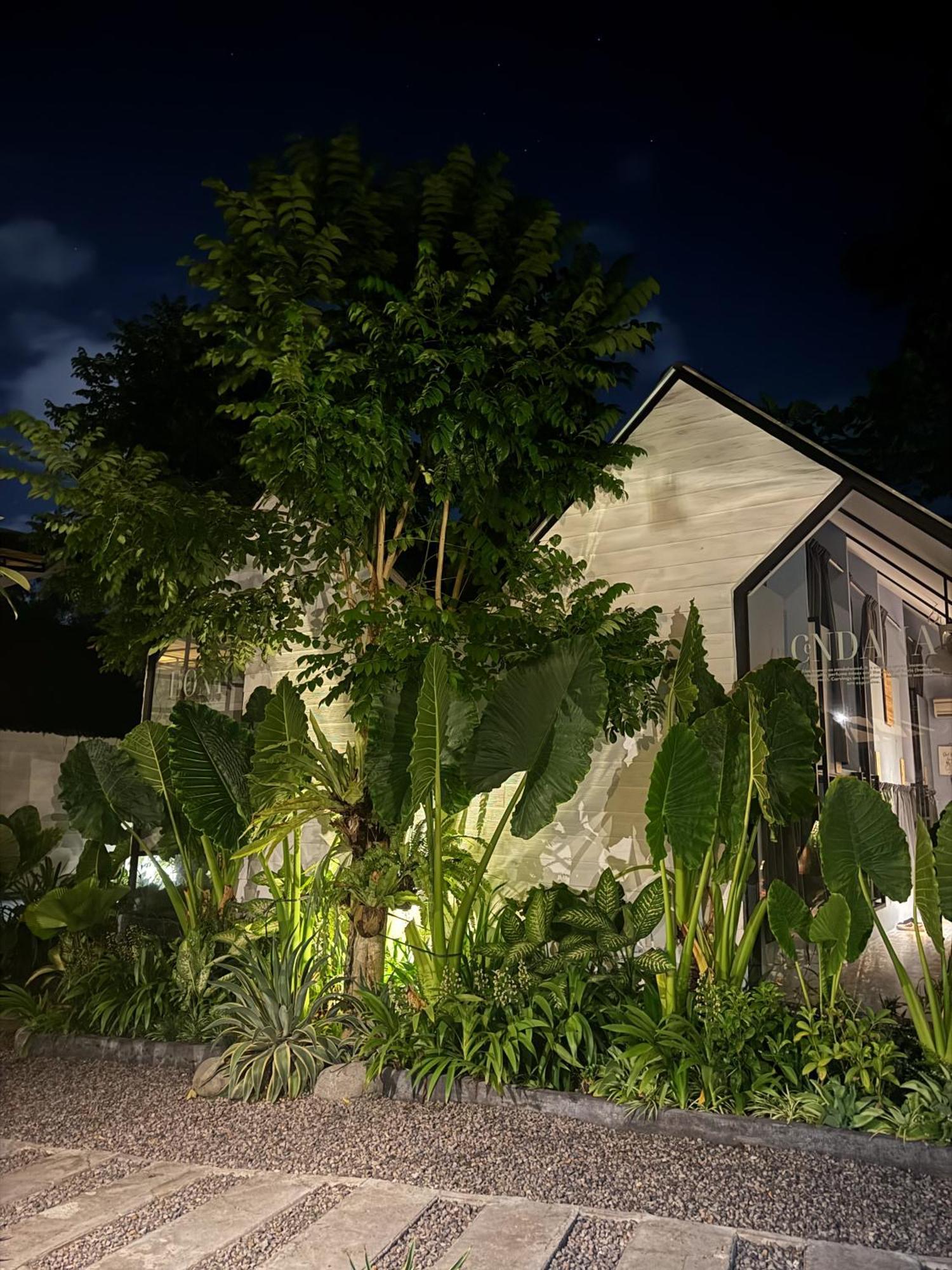 The Jungle Hostel Canggu Kültér fotó